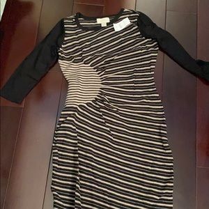 Anne Taylor Loft dress